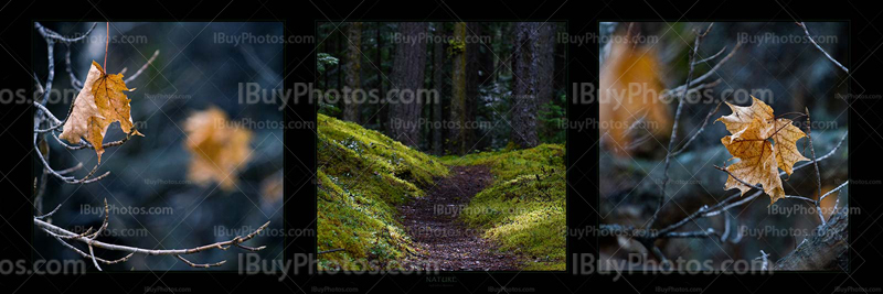 Panorama Nature 002 Photo Panorama nature 002