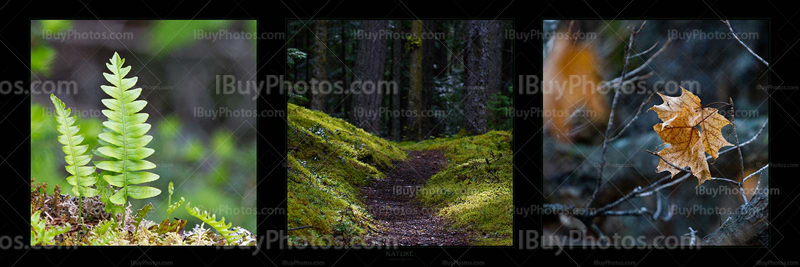 Panorama Nature 003 Photo Panorama nature 003