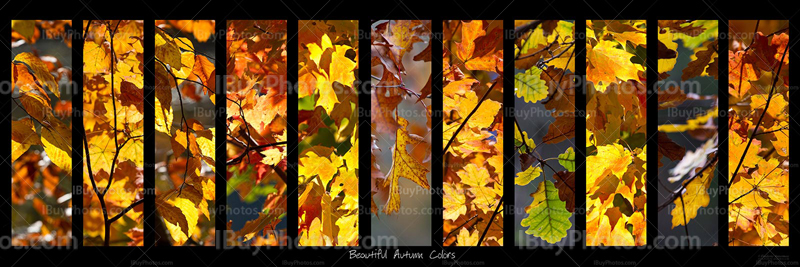 Panorama Nature 004 Photo Panorama nature 004
