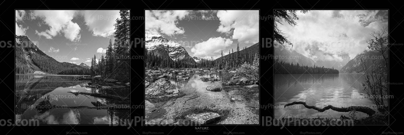 Panorama Nature Nb 001 Photo Panorama nature bw 001