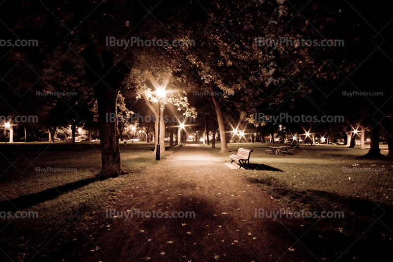 Public park at night with street lights, bench and trees