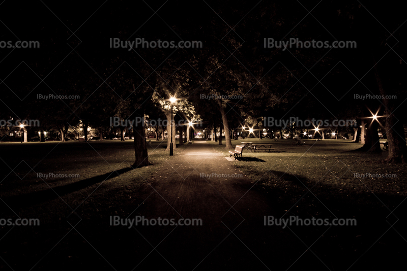 Bench in park at night with trees and street lights