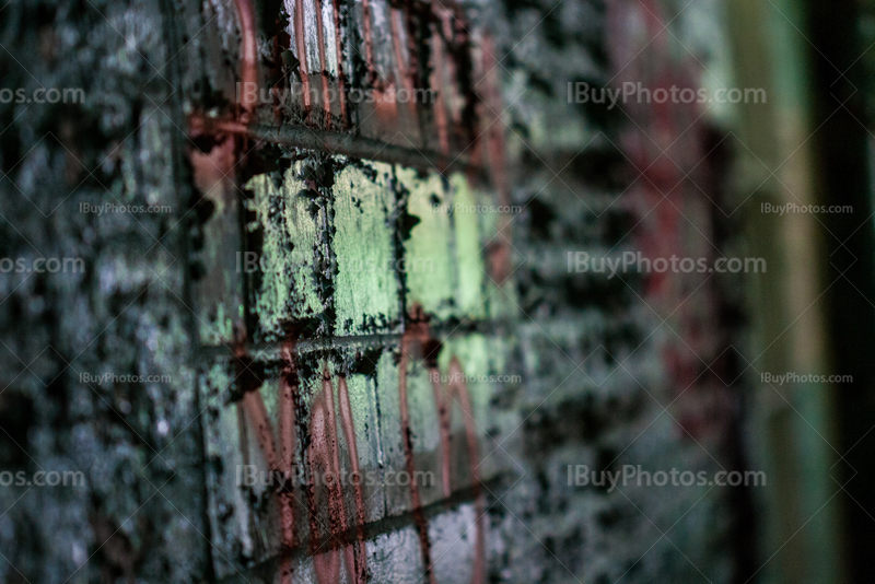 Bricks wall with peeling paint