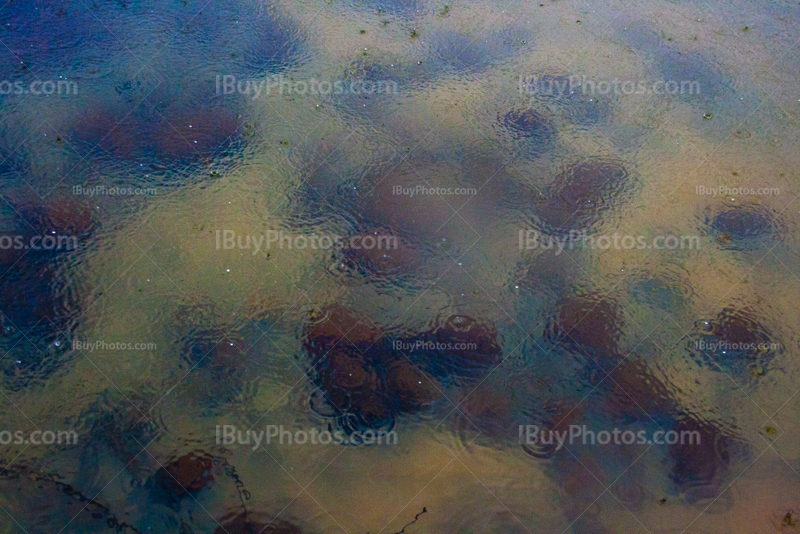 Rain drops falling on river with rocks under water