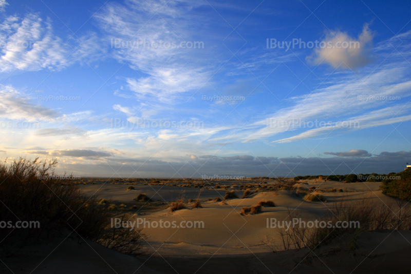 Espiguette beach in South of France, with sand dunes and blue sky