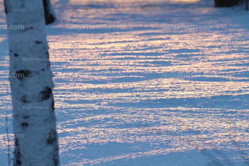 Reflet de coucher de soleil sur neige avec tronc d'arbre