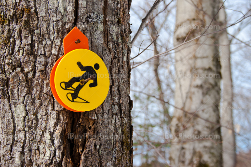 Snowshoeing sign on tree trunk in Winter