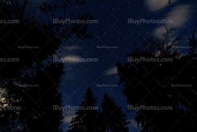 Starry sky above forest with cloudsin Yoho Park
