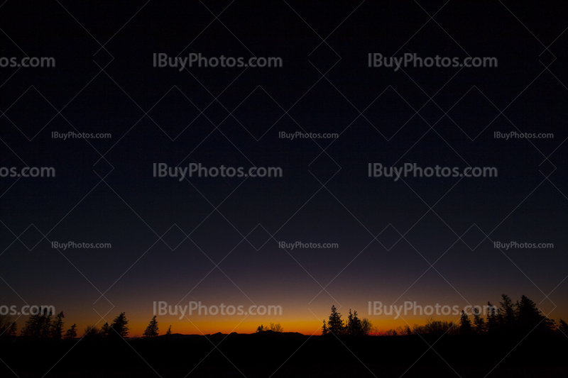 Sunset tree silhouettes 001