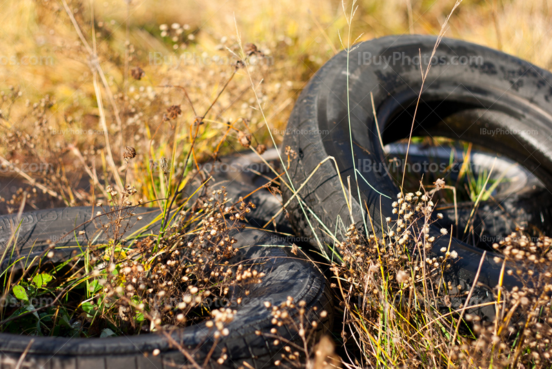 Old tires on grass