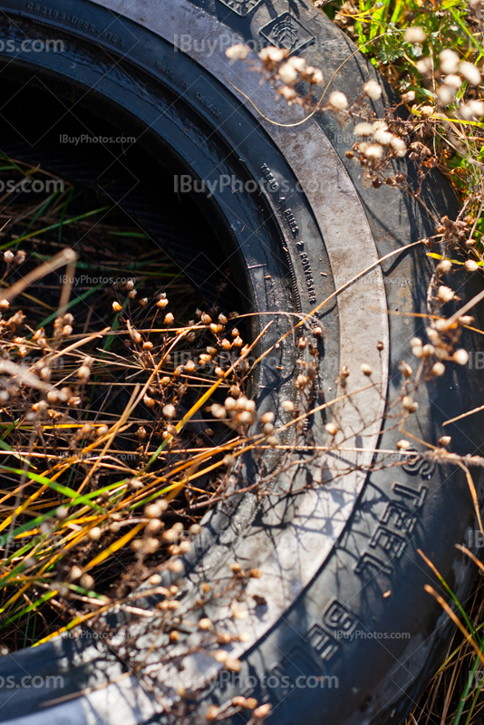 Old tire on grass close up