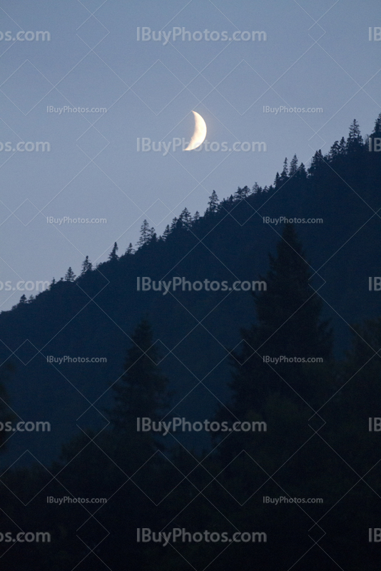 Lune au dessus de la forêt avec silhouette des arbres