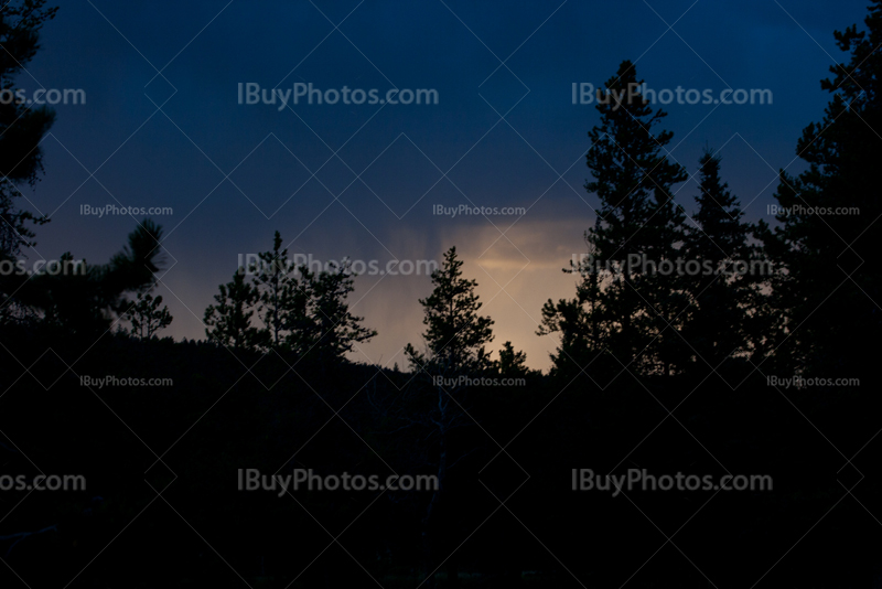 Silhouettes de sapins au coucher du soleil