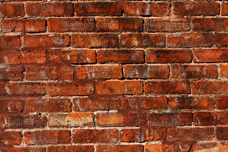 Bricks wall with shades