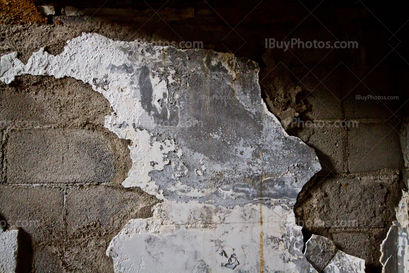 Damaged wall with bricks and paint