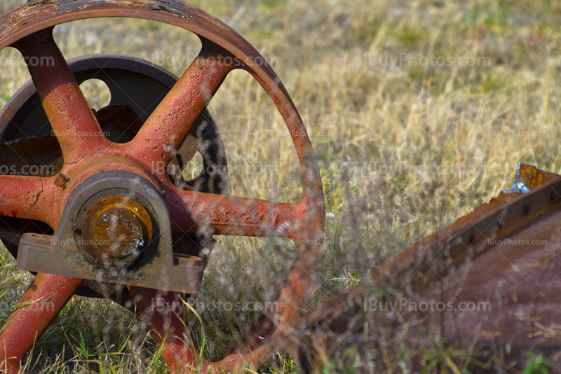 Rusty metal wheel on grass