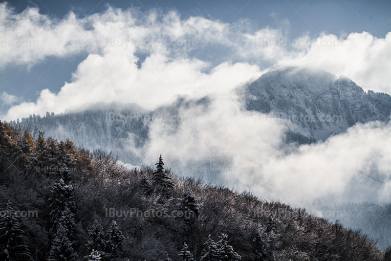 Montagnes en hiver, brume et nuages sur forêt