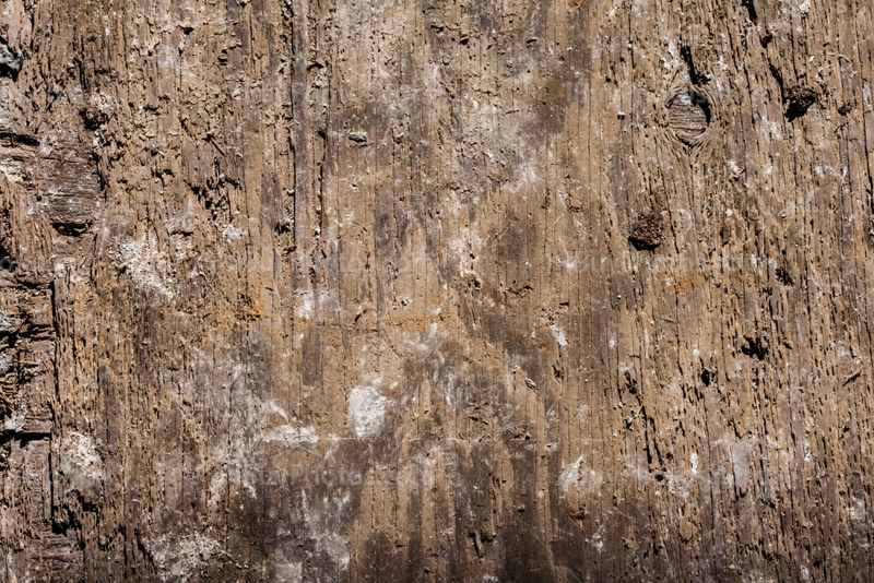 Wooden texture with splinters, dust and holes