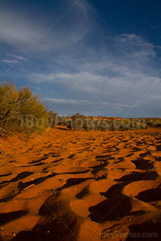 Red sand in Arizona desert at sunset