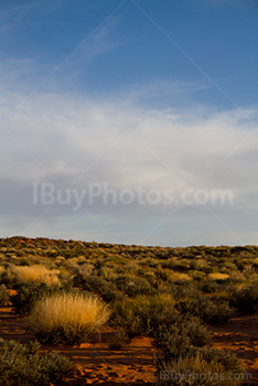 Sunset on Arizona desert with sky, clouds and bushes