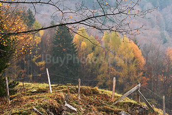 Fence on hills with wooden posts and barbed wires in Autumn