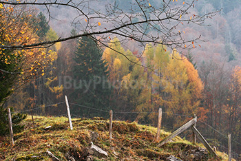 Clôture de fil barbelé sur une colline en Automne