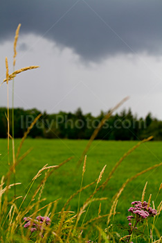 Storm with grey clouds above field