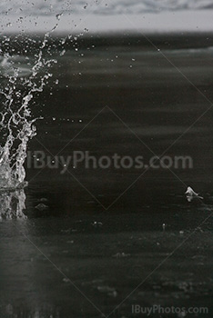 Impact on water with ice, black and white photo