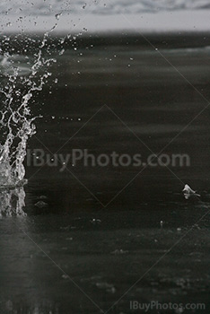 Impact sur eau et glace, photo noir et blanc