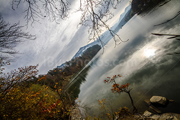 Bord lac de Gruyère avec arbres