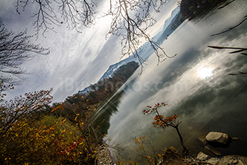 Gruyere lake border with trees