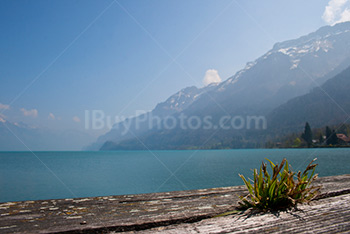 Brienzersee in Switzerland, Lake Brienz near Interlaken