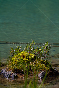 Small soil island in lake with clear water