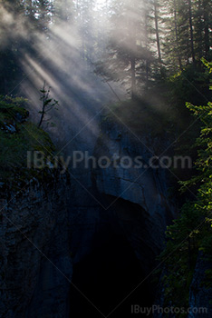 Sunbeams through fir trees at sunrise, Maligne Canyon, Alberta