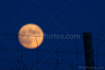 Pleine Lune derrière clôture avec poteau