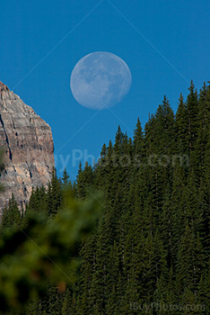 Lune au dessus des montagnes et de la forêt, Rocheuses canadiennes