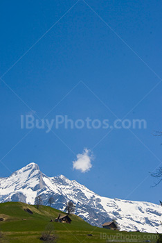 Snow-capped mountains in Switzerland with big blue sky and a meadow