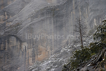 Falaise dans les montagnes avec un arbre sur le rebord, au parc Yosemite