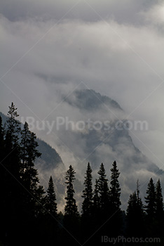 Montagnes dans le brouillard avec des sapins