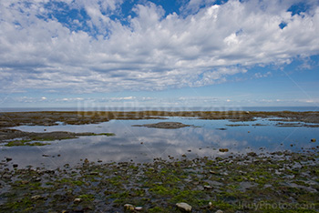 Pond in gulf of saint Lawrence River in Quebec