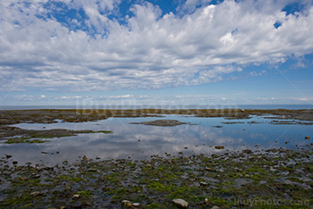 Pond in gulf of saint Lawrence River in Quebec