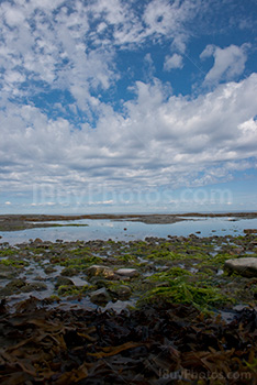 Gulf of St Lawrence River border with algeas and water