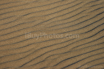 Sand waves with shades