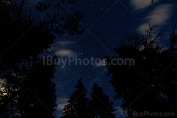 Starry sky above forest with cloudsin Yoho Park