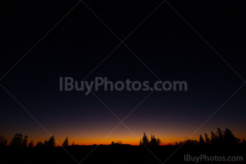 Photo: Sunset Tree Silhouettes 001