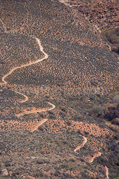 Grand Canyon trail in Arizona