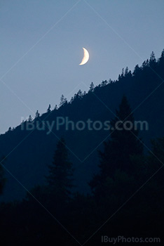 Lune au dessus de la forêt avec silhouette des arbres
