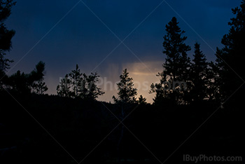 Silhouettes de sapins au coucher du soleil