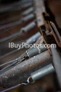 Photo: Bed Springs 001