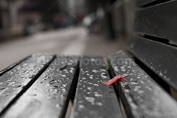 Feuille sur un banc avec des gouttes de pluie